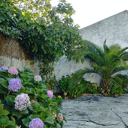 Villa Cle House Anadia Exterior foto